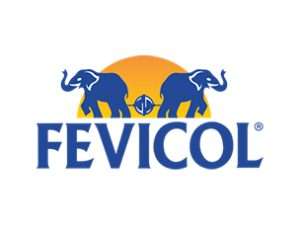 fevicol
